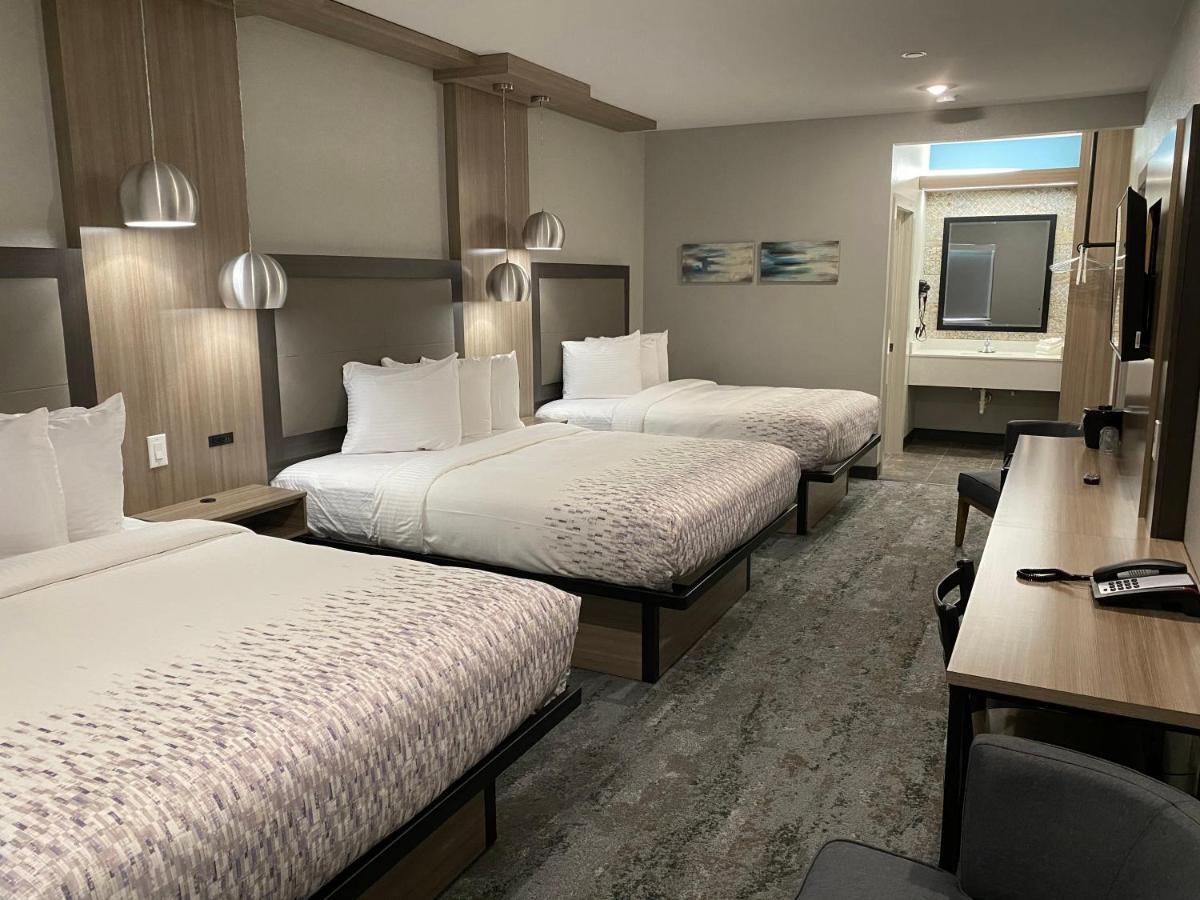 Hotel Solara I-45 & Hobby Airport 휴스턴 외부 사진